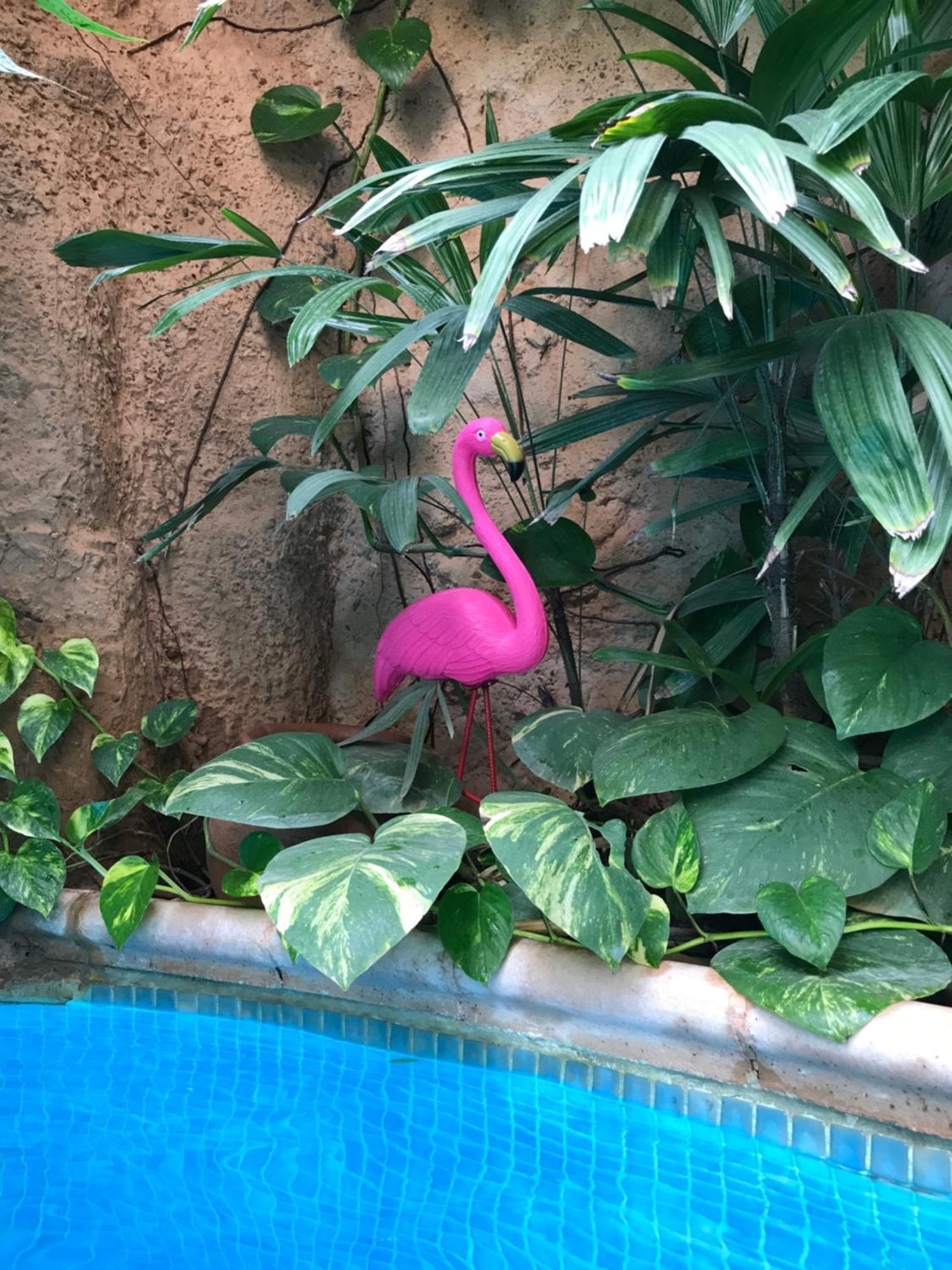 Tropical Oasis Διαμέρισμα Ouakam Εξωτερικό φωτογραφία