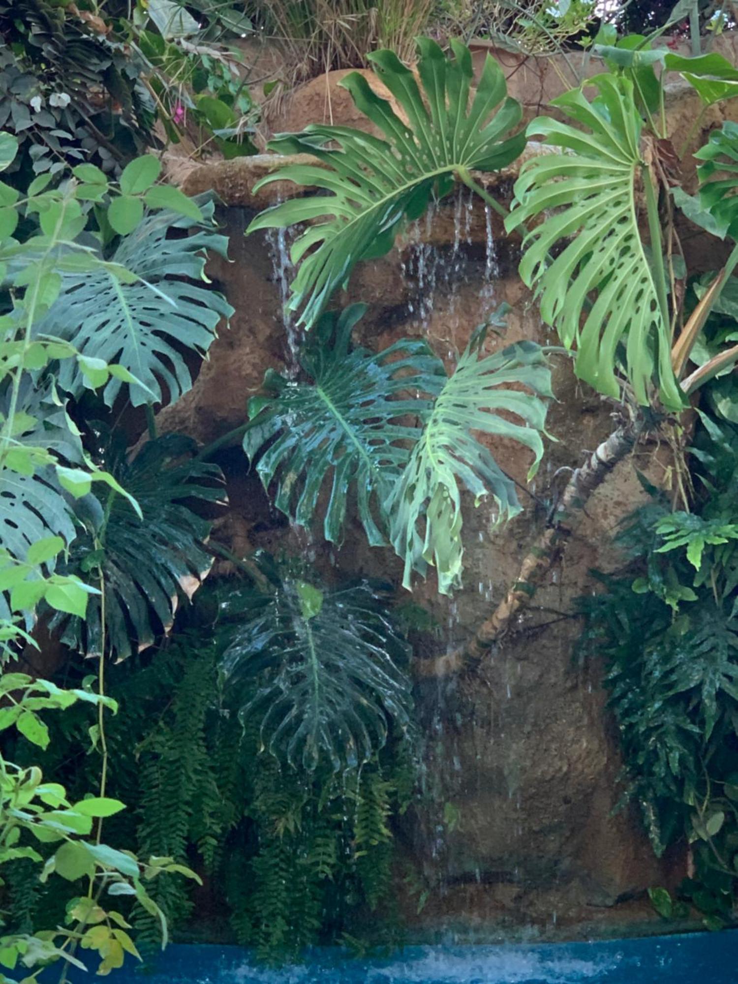 Tropical Oasis Διαμέρισμα Ouakam Εξωτερικό φωτογραφία