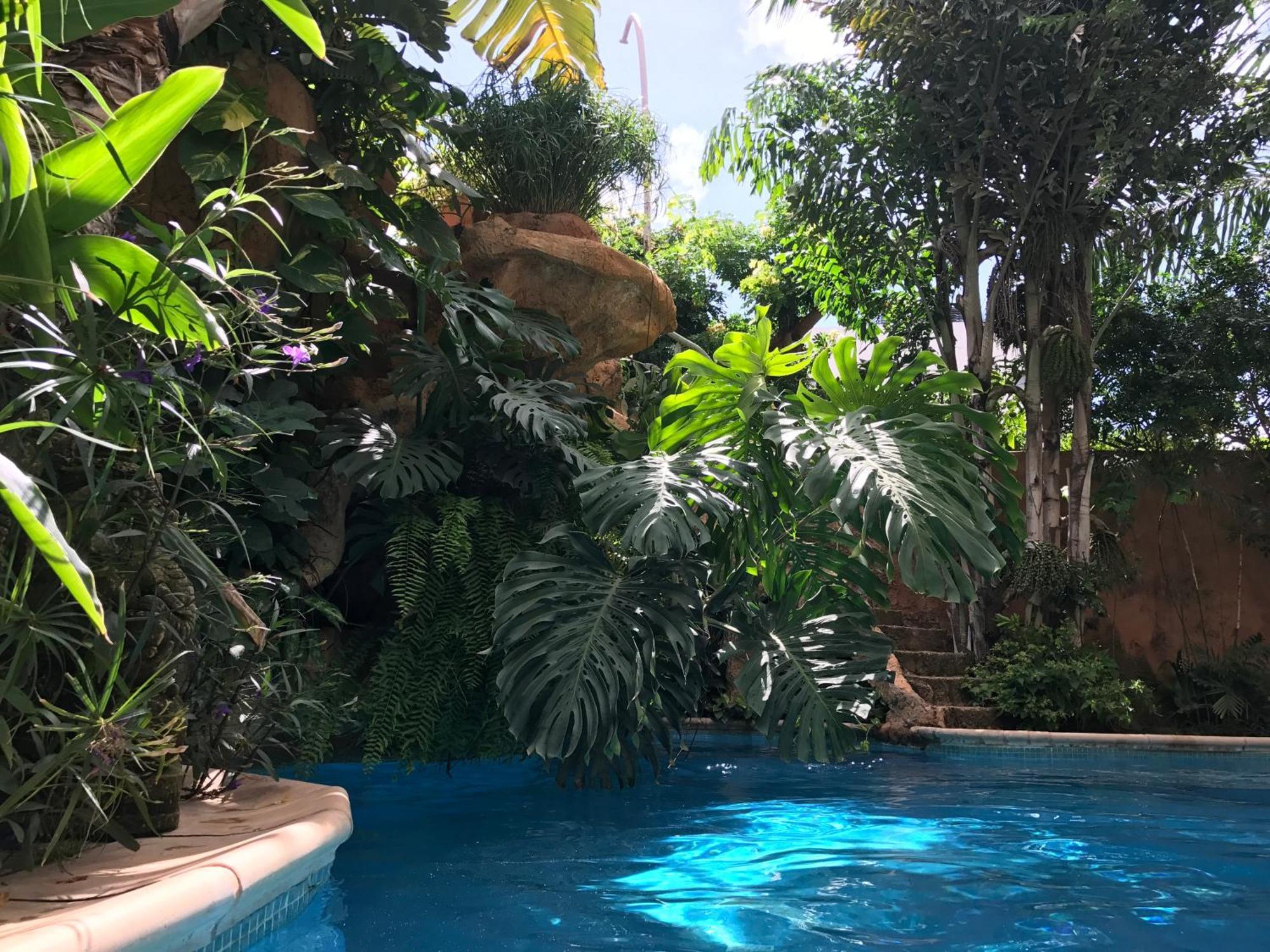 Tropical Oasis Διαμέρισμα Ouakam Εξωτερικό φωτογραφία