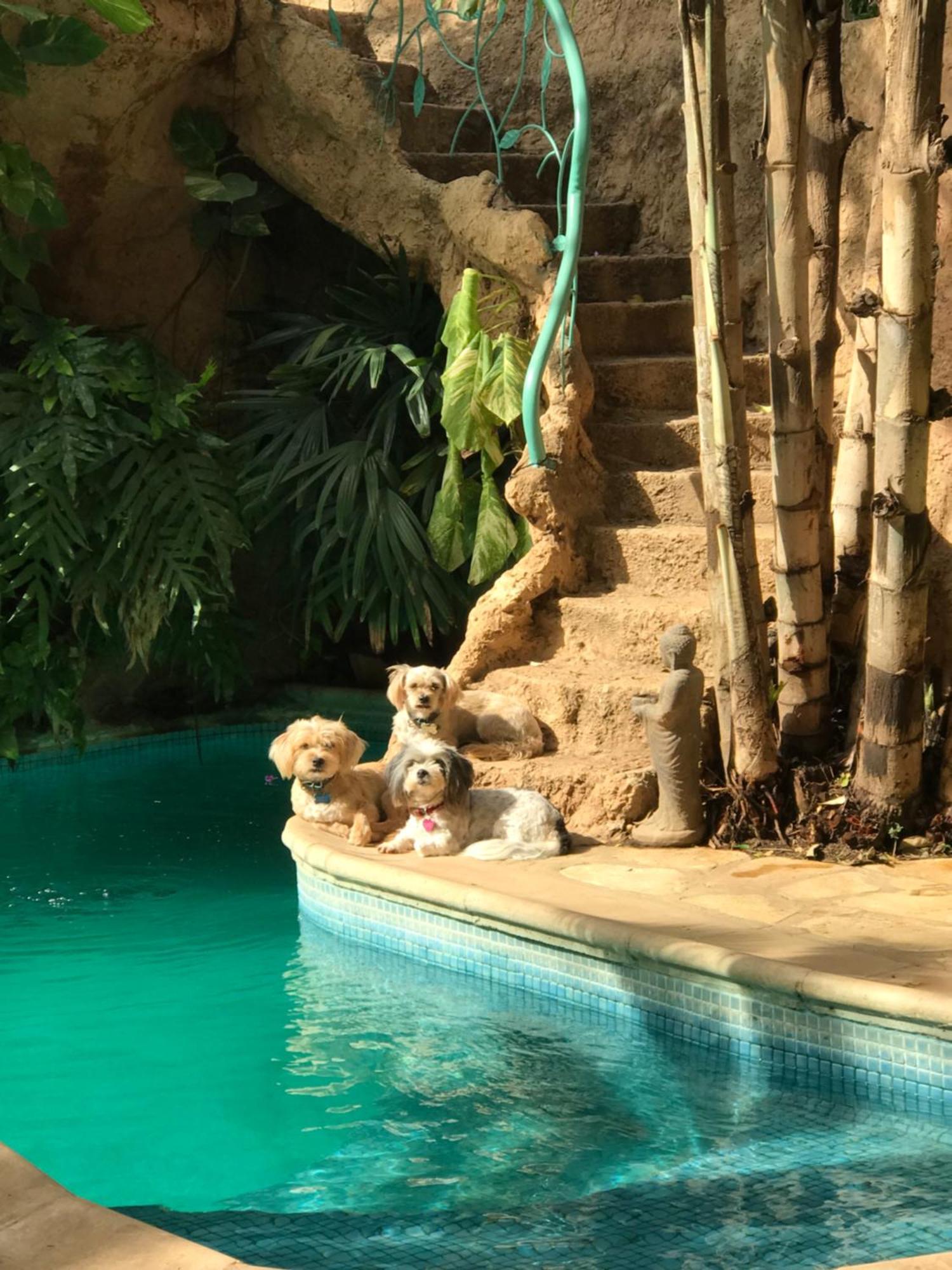 Tropical Oasis Διαμέρισμα Ouakam Εξωτερικό φωτογραφία